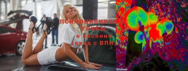 индика Лиски