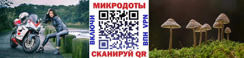 Псилоцибиновые грибы мухоморы купить цена Новоаннинский